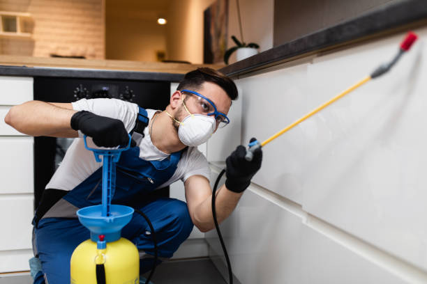 Best Flea Control Services  in Lexington, OK