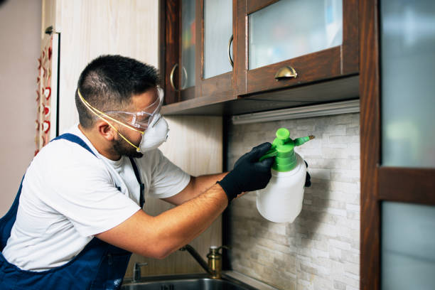 Best Emergency Pest Control  in Lexington, OK