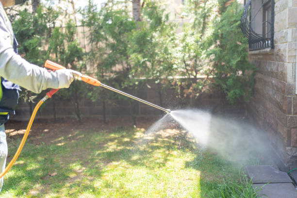Best Rat Extermination Near Me  in Lexington, OK
