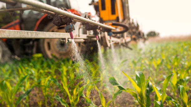 Best Mosquito Control Services  in Lexington, OK